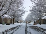 Winter on our street